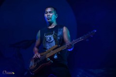 IMP_0769