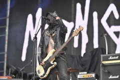 IMP_7768