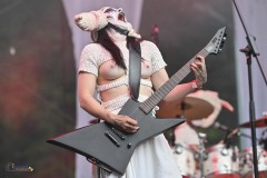 IMP_8222