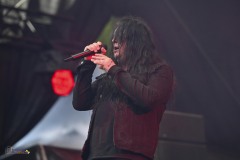 IMP_8286