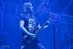 IMP_8545