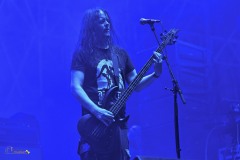 IMP_8568