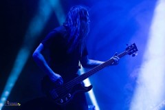 IMP_2061