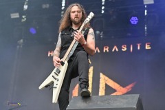 IMP_9286