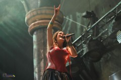 IMP_99999_0001-264