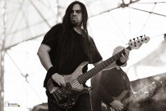 IMP_2589