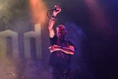 IMP_3117