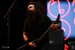 IMP_3236