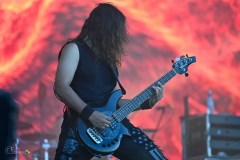 IMP_3907