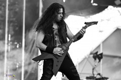 IMP_3942