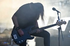 IMP_4003