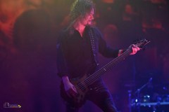 IMP_4622