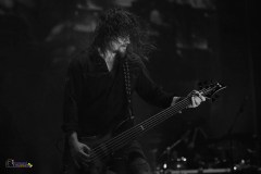 IMP_4623