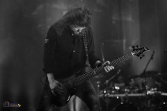 IMP_4624