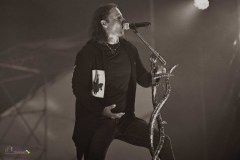 IMP_4644