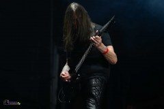 IMP_4653
