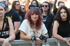 IMP_4876