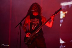 IMP_5609