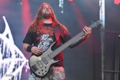 IMP_3410