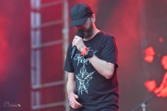 IMP_3445