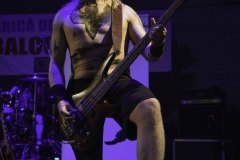 IMP_9221