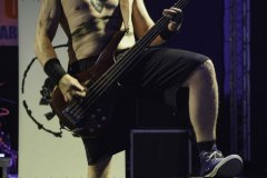 IMP_9329