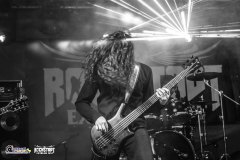 DSC_5291