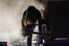 IMP_5955