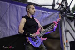 IMP_8310