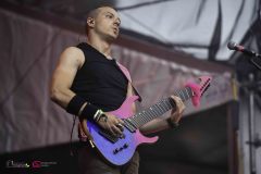 IMP_8349