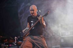 IMP_8538