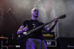 IMP_8602