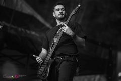 IMP_9897