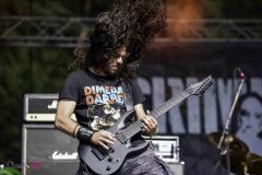 IMP_6985